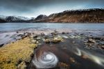  Photo Credit: Photo by martin bennie on Unsplash