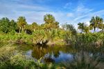 Red Bug Slough Preserve - Photo Credit: Photo by Jeffrey Eisen on Unsplash