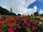 Doi Inthanon Pagoda - Photo Credit: Photo by Mike Anderson on Unsplash