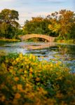  Photo Credit: Photo by Dave Hoefler on Unsplash