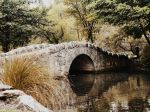 Queenstown Botanical Gardens - Photo Credit: Photo by Jessica Bay on Unsplash