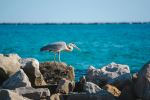 Norriego Point - Photo Credit: Photo by Jake Hill on Unsplash
