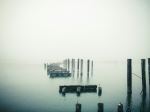  Photo Credit: Photo by Nong on Unsplash