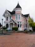 the Pink Lady - Photo Credit: Photo by Jim Witkowski on Unsplash