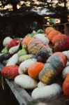  Photo Credit: Photo by Riley Crawford on Unsplash