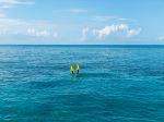 Bakers Bay Marina, Great Guana Cay - Photo Credit: Photo by Stella Ribeiro on Unsplash