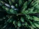  Photo Credit: Photo by Geranimo on Unsplash