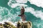 Photo Credit: Photo by Fati Laraí Lará on Unsplash