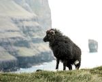  Photo Credit: Photo by Lachlan Gowen on Unsplash