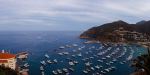  Photo Credit: Photo by Roger on Unsplash