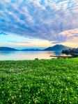  Photo Credit: Photo by BRADLEY MORRIS on Unsplash