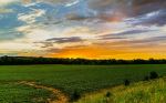  Photo Credit: Photo by Anival Torres on Unsplash