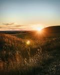  Photo Credit: Photo by Matt Phillips on Unsplash