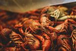 Crawfish Boil - Photo Credit: Photo by Stephanie Moody on Unsplash