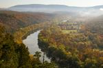 Green Ridge State Forest - Photo Credit: Photo by Liz Guertin on Unsplash