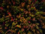  Photo Credit: Photo by Carl Schlabach on Unsplash