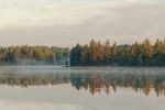  Photo Credit: Photo by Dan Gomer on Unsplash