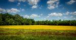 Mississippi