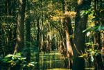  Photo Credit: Photo by Derrick Payton on Unsplash