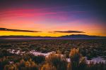  Photo Credit: Photo by Davron Bowman on Unsplash