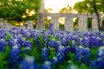  Photo Credit: Photo by Samantha Amidon on Unsplash