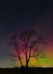 Northern Lights in Leeds - Photo Credit: Photo by Dave Hoefler on Unsplash