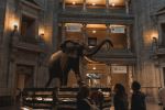 Smithsonian National Museum of Natural History - Photo Credit: Photo by J. Amill Santiago on Unsplash
