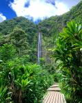 Makahiku Waterfall - Photo Credit: Photo by Maggie Collins on Unsplash
