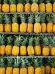 Pineapple - Photo Credit: Photo by Fiona Smallwood on Unsplash