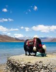  Photo Credit: Photo by Jiasong Huang on Unsplash