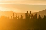  Photo Credit: Photo by Marcus Woodbridge on Unsplash