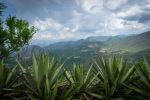  Photo Credit: Photo by José Castillo on Unsplash