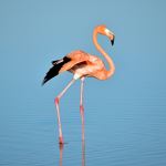  Photo Credit: Photo by Alejandro Contreras on Unsplash
