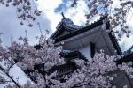Kanazawa Castle - Photo Credit: Photo by Robby McCullough on Unsplash