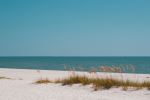  Photo Credit: Photo by Thomas Konings on Unsplash
