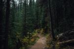  Photo Credit: Photo by Guillaume Flandre on Unsplash