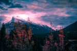  Photo Credit: Photo by Neil Rosenstech on Unsplash
