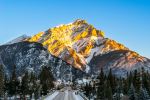  Photo Credit: Photo by Baron Alloway on Unsplash