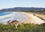 Emerald Beach - Photo Credit: Photo by Kristin Hoel on Unsplash