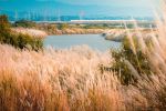  Photo Credit: Photo by Yu Hong Lee on Unsplash
