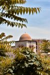 Chiesa di San Domenico in Geata - Photo Credit: Photo by Lien Van Win on Unsplash