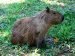  Photo Credit: Photo by Fernando Santos on Unsplash
