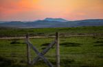  Photo Credit: Photo by Leo_Visions on Unsplash