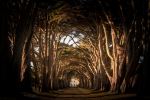  Photo Credit: Photo by Intricate Explorer on Unsplash