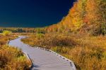Huntley Meadows Park - Photo Credit: Photo by Srini Somanchi on Unsplash