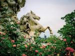  Photo Credit: Jardin du Luxembourg