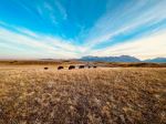  Photo Credit: Photo by Gabriel Rojas on Unsplash