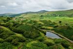 The Fairy Glen - Photo Credit: Photo by Stefano Bucciarelli on Unsplash