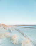  Photo Credit: Photo by Joe Byrnes on Unsplash