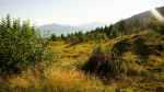 Rodna-Maramures - Photo Credit: Photo by Michael Michelovski on Unsplash